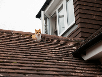 Common Roofing Problems In Singapore